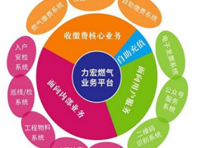 燃气行业软件_定制开发